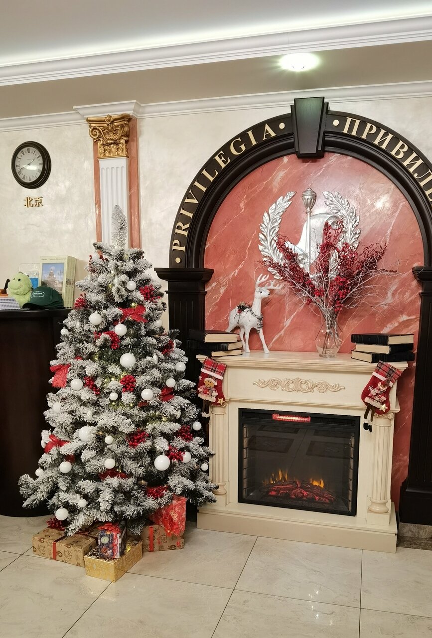 Гостиница Привилегия Санкт-Петербург-28